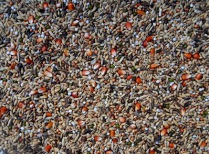 MATADOR PREMIUM DETOX 10KG 