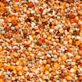070043_enzymix-ms-opbouw-extra.jpg
