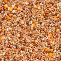 070047_enzymix-ms-energy.jpg