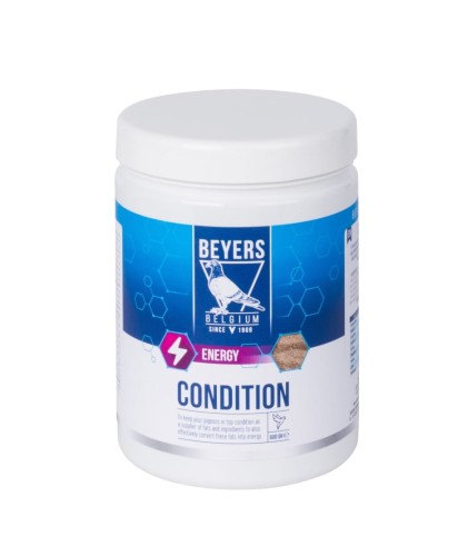 Art. 023149 Condition 600gr.jpg