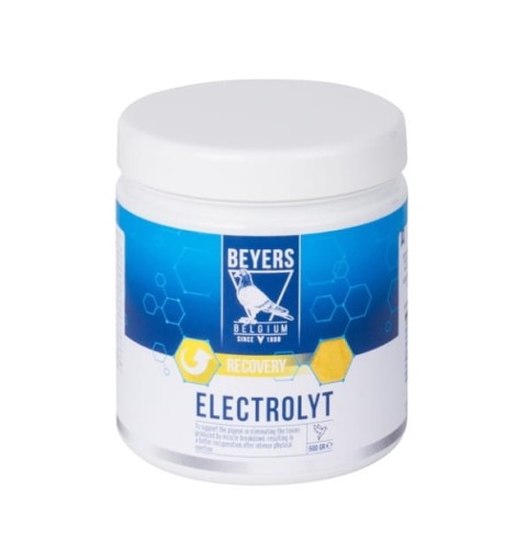 Art. 023112 Electrolyt 500gr.jpg