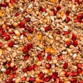 004510_premium-enzymix-power.jpg