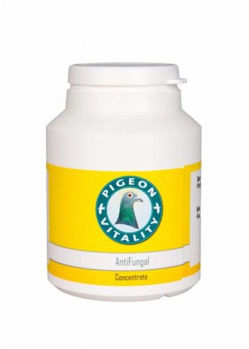 AntiFungal.jpg