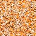 004436_premium-vandenabeele.jpg