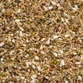 004520_premium-snoepzaad-exclusief.jpg